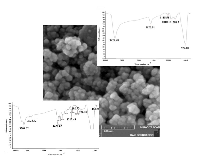 Synthesis of magnetite-silica-carbon quantum dot nanocomposites for melatonin drug delivery
