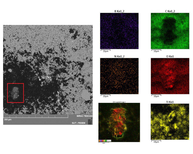 In-situ synthesized phases during the spark plasma sintering of g-C3N4 added TiB2 ceramics: A thermodynamic approach