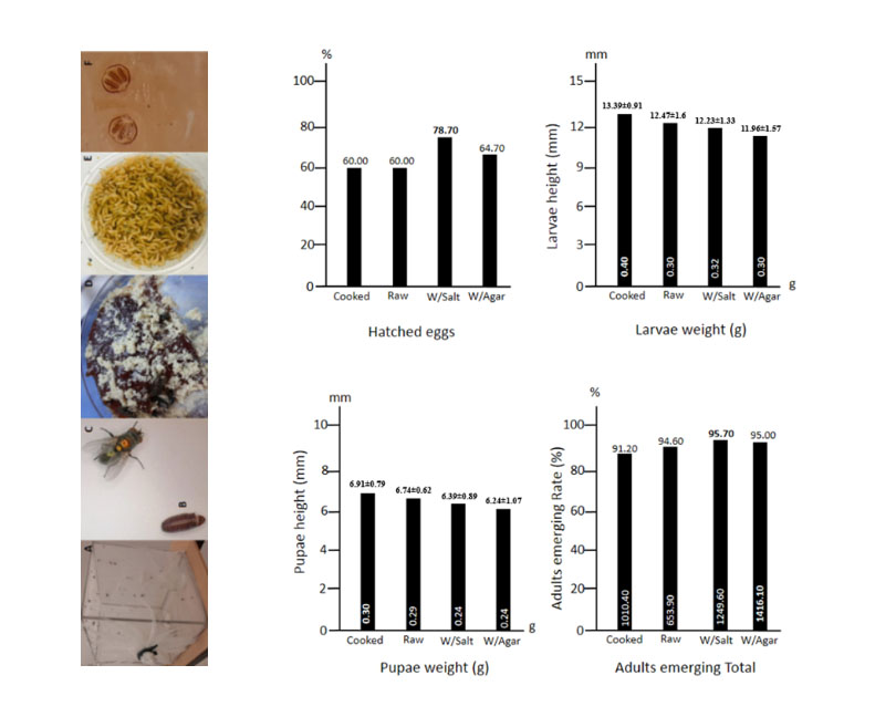 Evaluation of the contribution of media derived from various animal livers on the production of Lucilia sericata