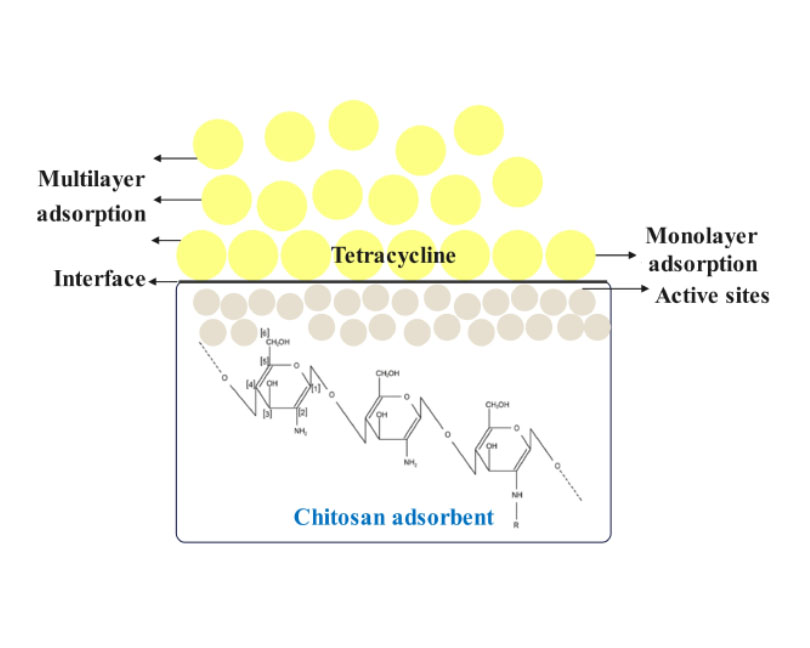 Recent developments in chitosan-based adsorbents for tetracycline removal: A mini-review